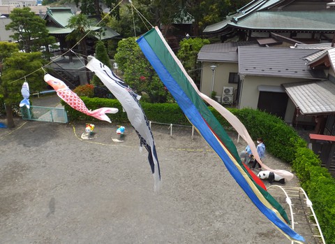 ５月５日の子供の日に向けて‼