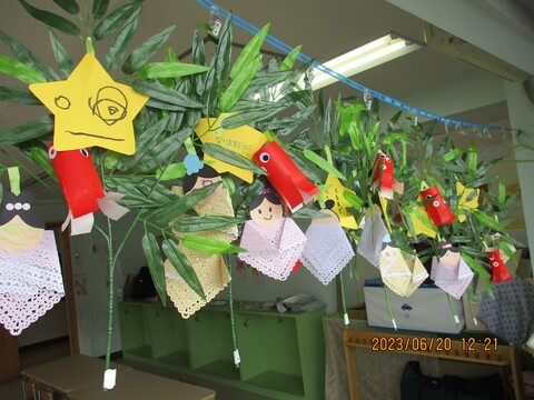 みんなの七夕飾り…きれい☆彡