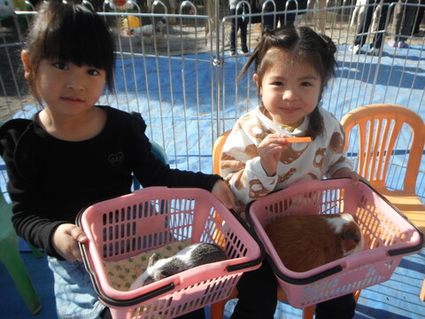 沢山の動物と触れ合った　移動動物園