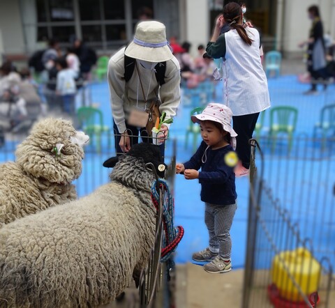 食べ物どうぞ！