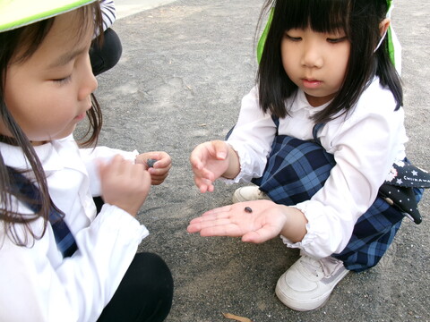 初めてダンゴムシを触ってみたよ⭐もぞもぞ動いてて、少しくすぐったかったよ