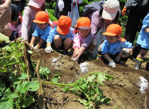 お母さんと一緒に掘ったよ💕
