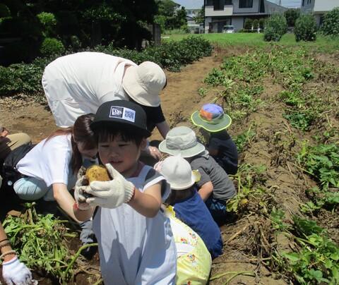 🥔じゃがいも出てきたよ！