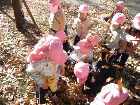 はっぱいっぱーい🍂