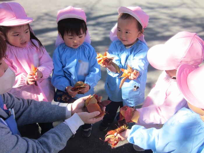 たくさん葉っぱを集めてあそびました♫(公園遊び)