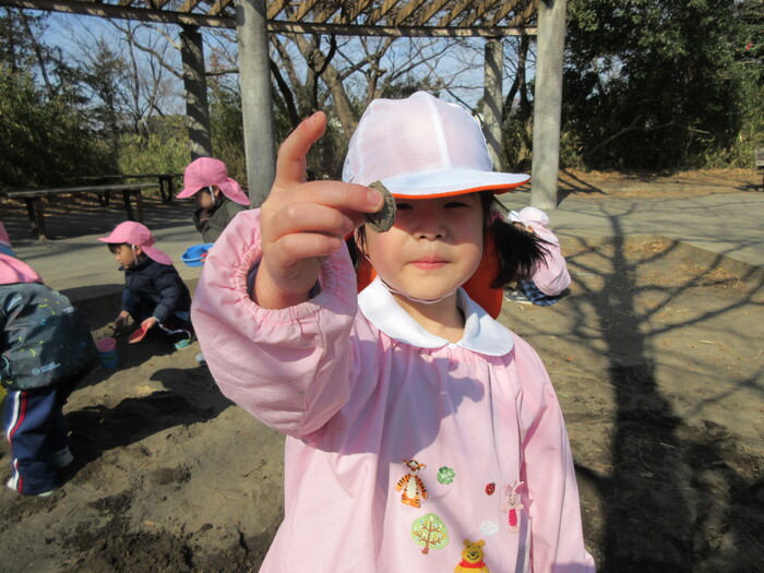 木の実を拾ったよ☆(公園遊び)