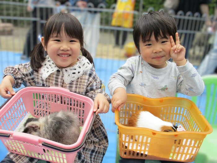 可愛いモルモットを触ったよ☆（移動動物園）